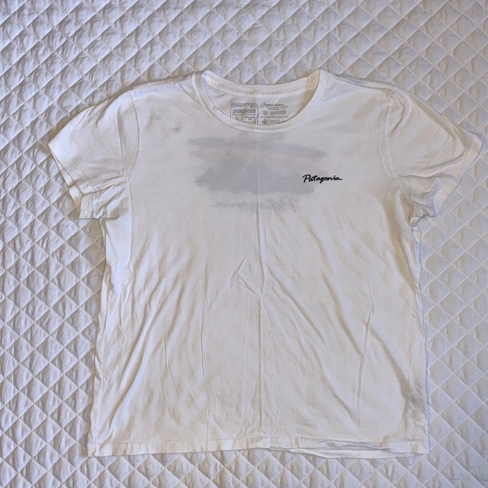Patagonia T-shirt